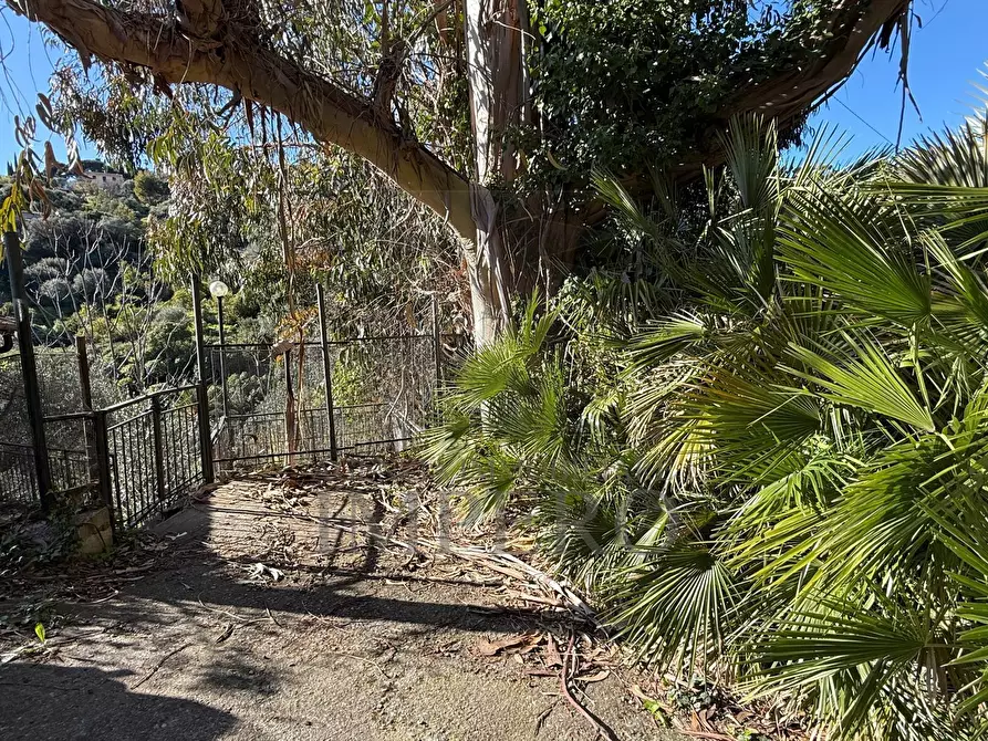 Immagine 27 di Casa indipendente in vendita  in Via Silvio Pellico a Bordighera