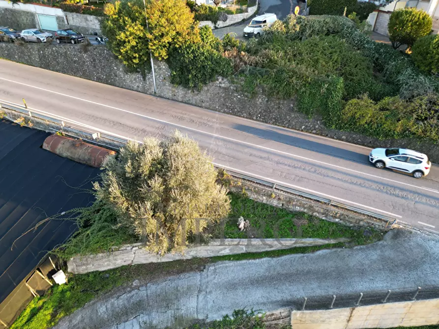 Immagine 6 di Terreno agricolo in vendita  in Via Generale Vincenzo Rossi 1 a Bordighera