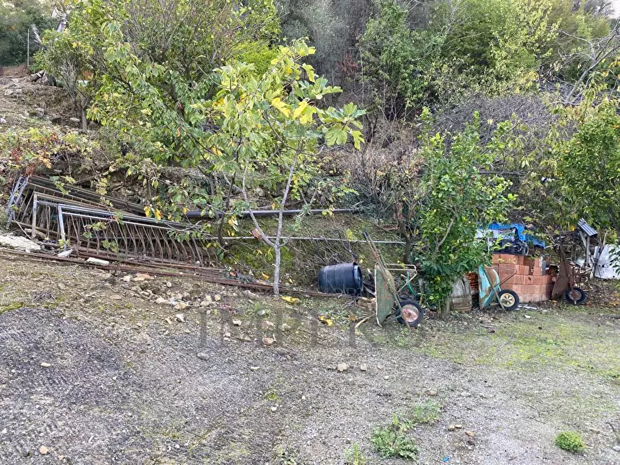 Immagine 7 di Casa indipendente in vendita  in Via Umberto Lorenzi a Ventimiglia