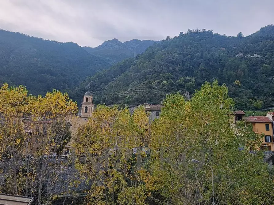 Immagine 23 di Pentalocale in vendita  in Via Case Palanchi 9 a Ventimiglia