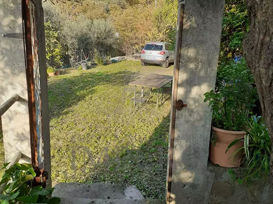 Immagine 17 di Terreno agricolo in vendita  in via provinciale 44 a San Biagio Della Cima
