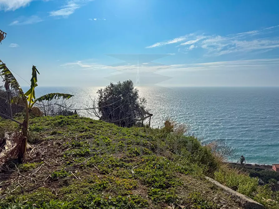 Immagine 22 di Villa in vendita  in Strada della Cava 18 a Bordighera