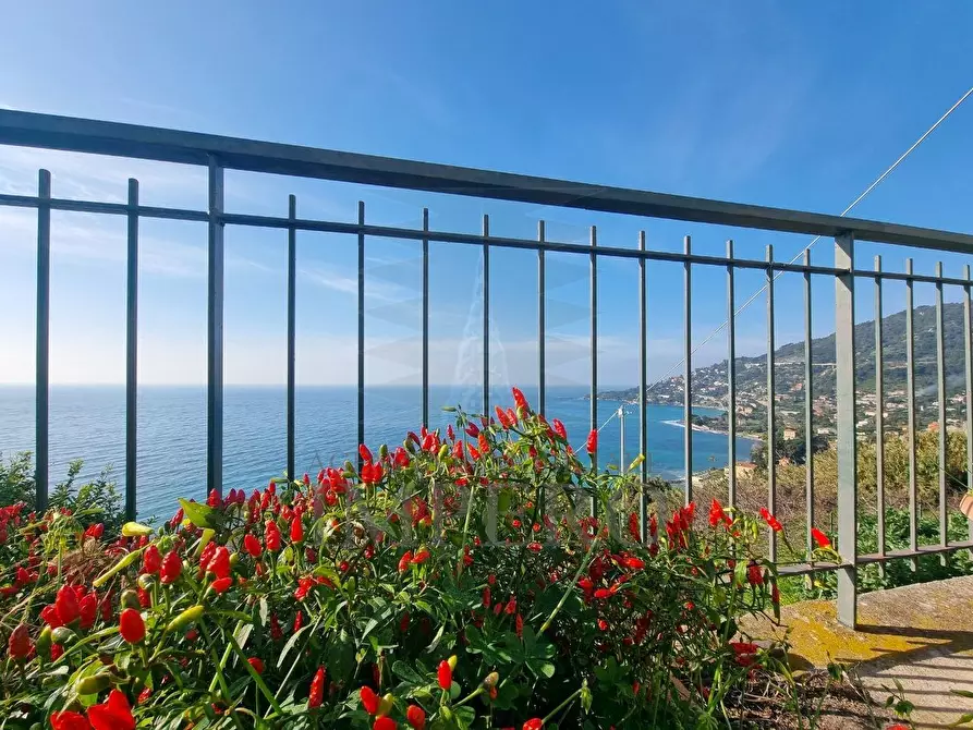 Immagine 5 di Porzione di casa in vendita  in Corso A. Toscanini 15 a Ventimiglia