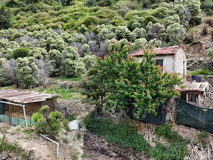 Immagine 30 di Terreno agricolo in vendita  in Via Anacleto Hughes 22/A a Ventimiglia
