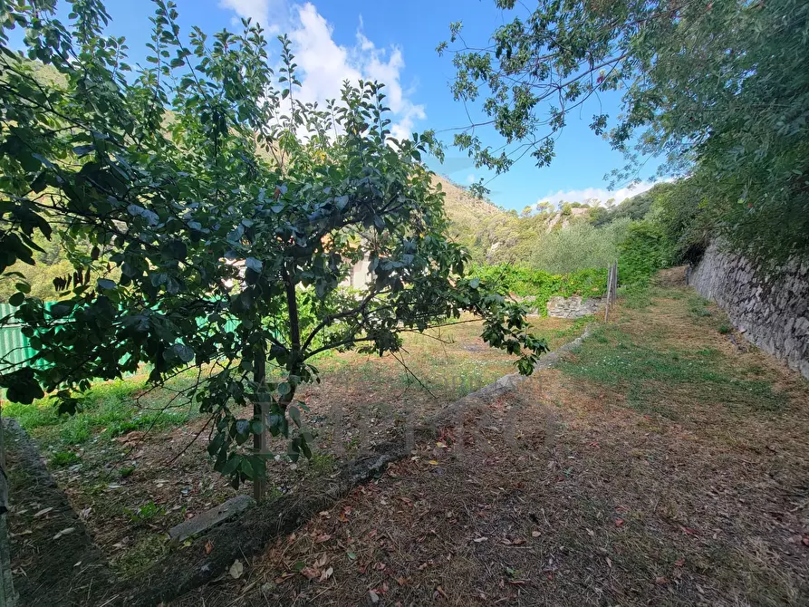 Immagine 59 di Casa bifamiliare in vendita  in Via Nazionale 8 a Airole