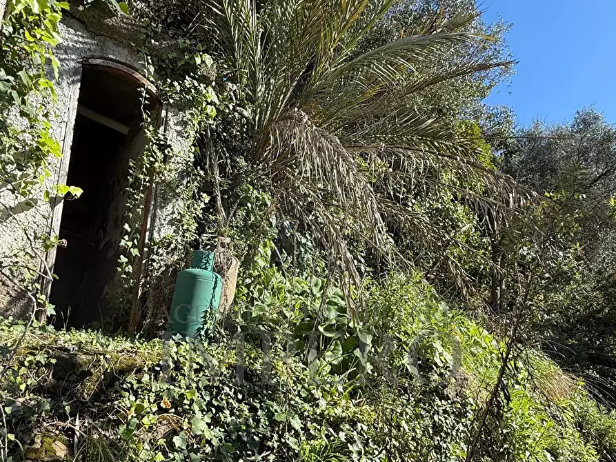 Immagine 17 di Casa indipendente in vendita  in Via Silvio Pellico a Bordighera