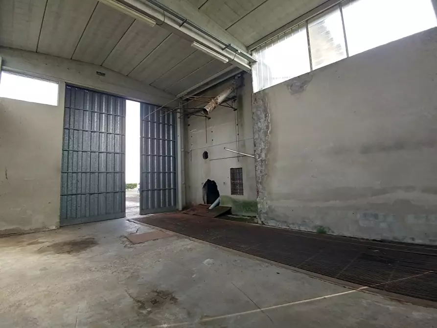 Immagine 15 di Attività artigianale in vendita  a Novellara