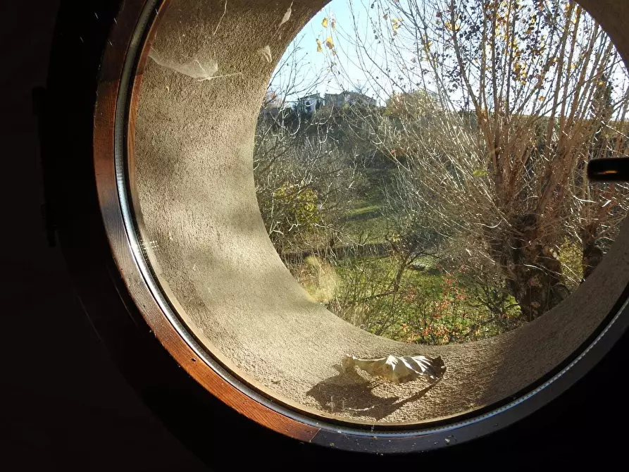 Immagine 14 di Rustico / casale in vendita  in Via I Maggio 381 a Guiglia