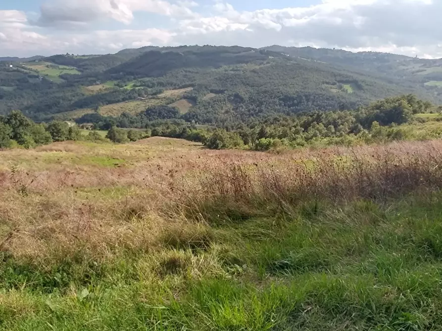 Immagine 45 di Rustico / casale in vendita  in via Selve 3205 a Zocca