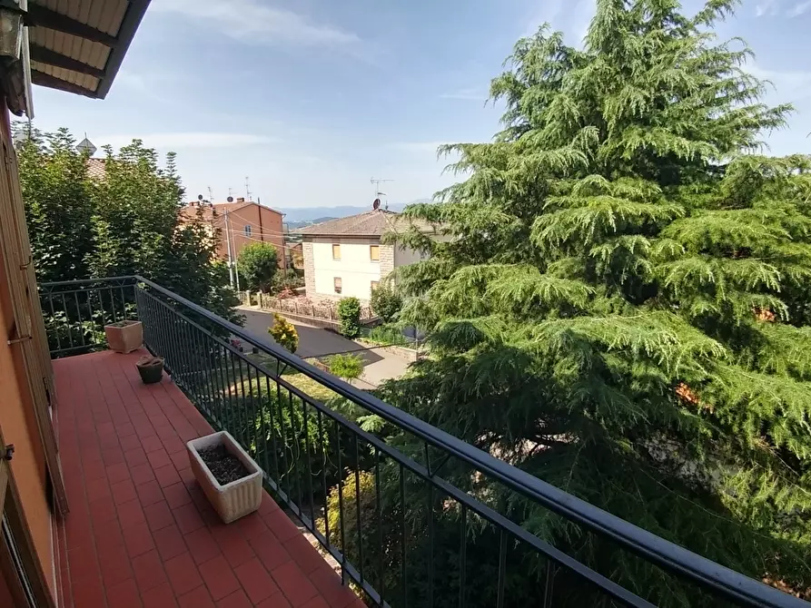 Immagine 5 di Quadrilocale in vendita  in Via Bosco degli Estensi 654 a Zocca
