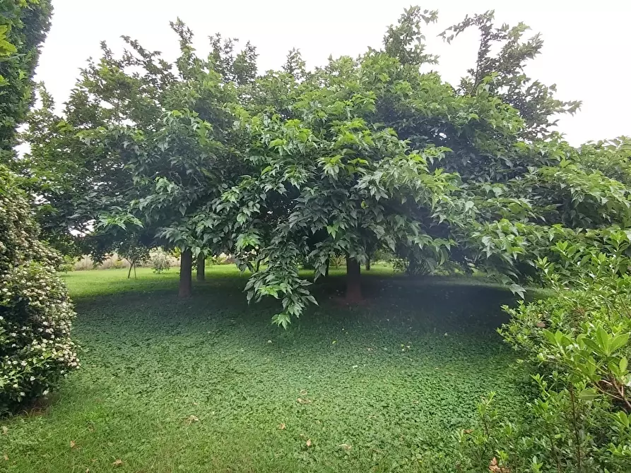 Immagine 5 di Villa in vendita  in Stradello Giovanardi 95 a Modena