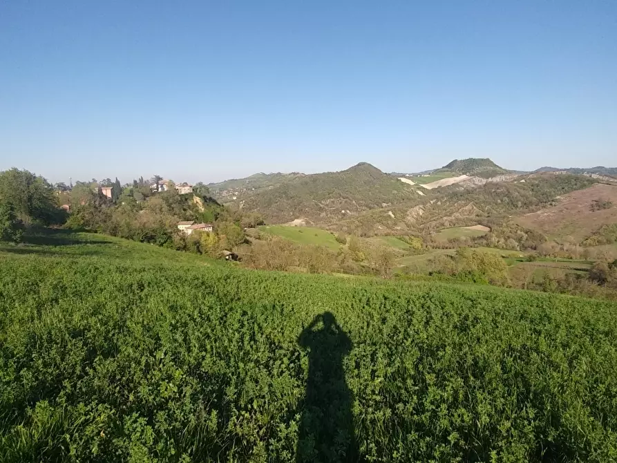 Immagine 8 di Terreno agricolo in vendita  in Via Castello 45 a Monte San Pietro