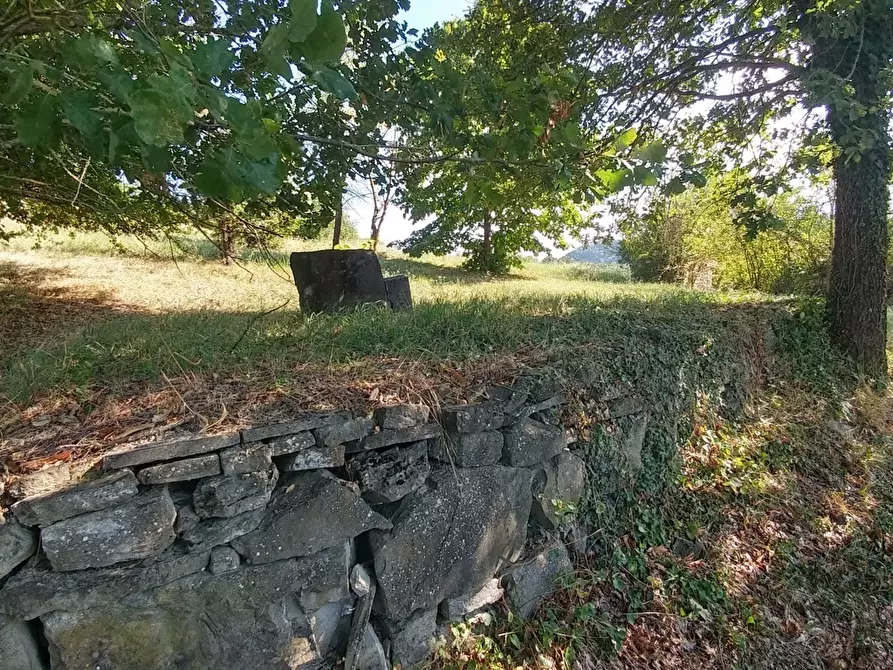 Immagine 8 di Rustico / casale in vendita  in via buzzeda a Guiglia