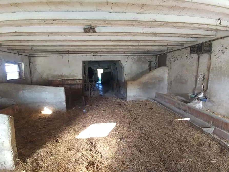 Immagine 32 di Rustico / casale in vendita  in Via Montalbano 3370 a Zocca