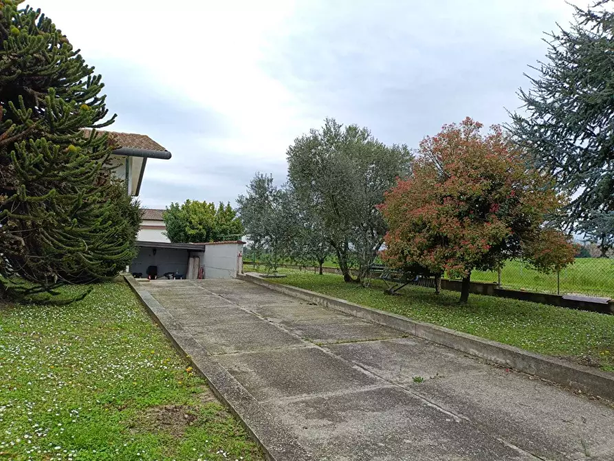 Immagine 2 di Casa indipendente in vendita  a Villanova Marchesana