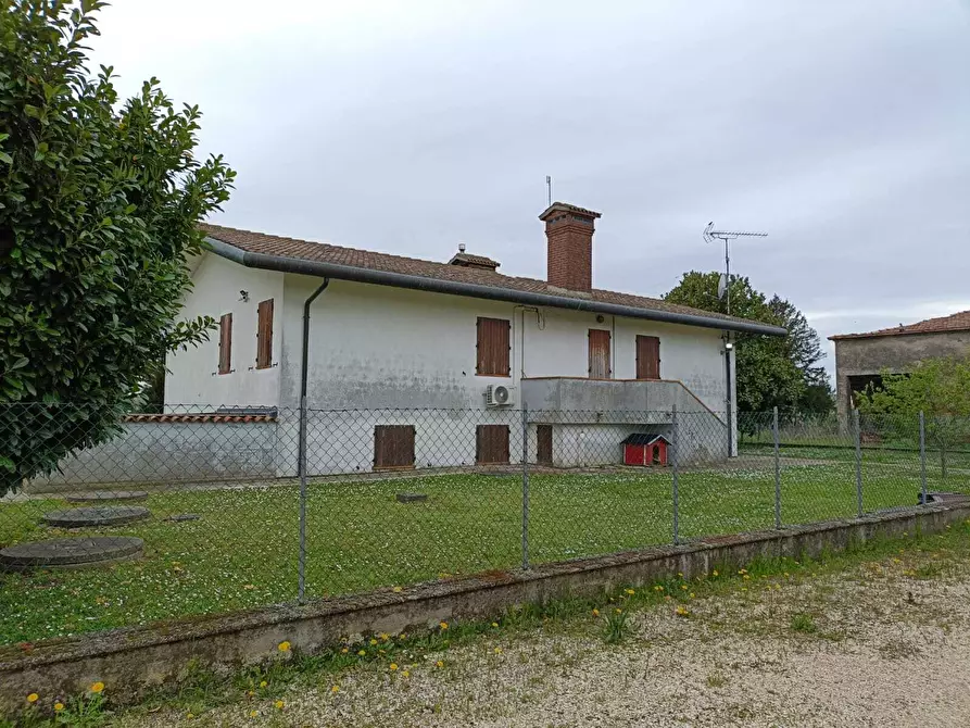 Immagine 3 di Casa indipendente in vendita  a Villanova Marchesana