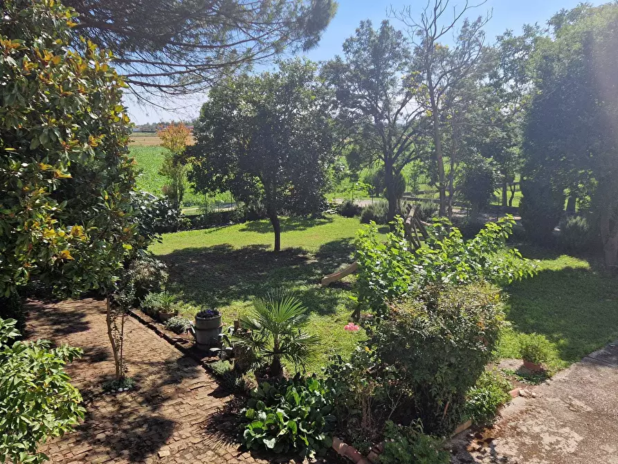 Immagine 8 di Rustico / casale in vendita  a Ceregnano