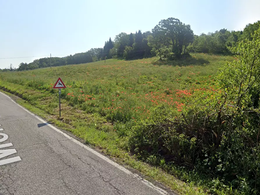 Immagine 3 di Terreno agricolo in vendita  in Via Ca' di Gallo 86 a Maiolo