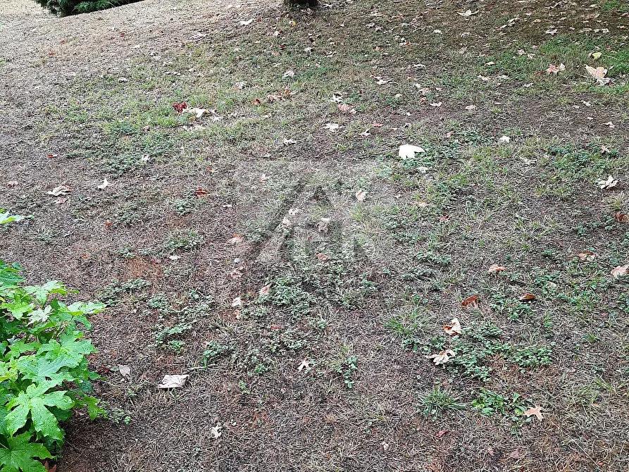 Immagine 12 di Villa in vendita  in Via di Villa Altieri 1179/A a Lucca