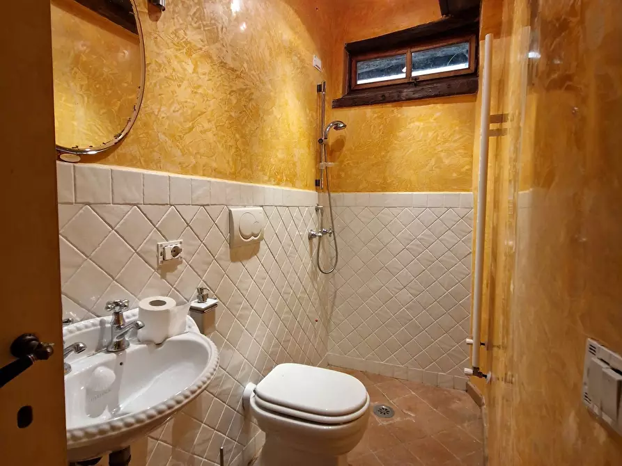 Immagine 3 di Capannone industriale in vendita  in Via San Gregorio a Lucca