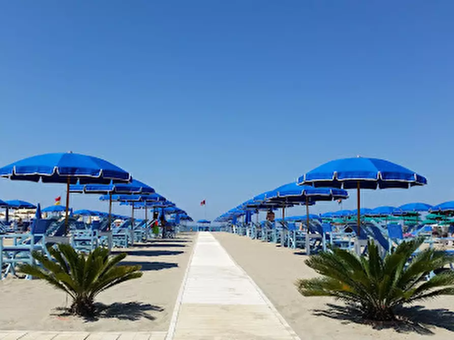 Immagine 10 di Attività commerciale in vendita  in Viale Regina Margherita a Viareggio