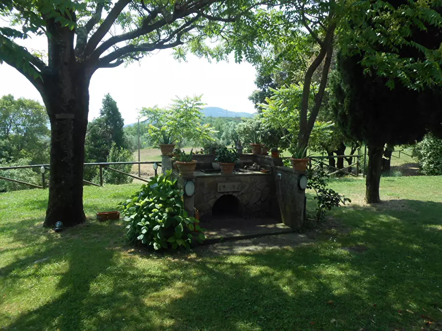 Immagine 21 di Rustico / casale in vendita  in Via per massaciuccoli a San Giuliano Terme