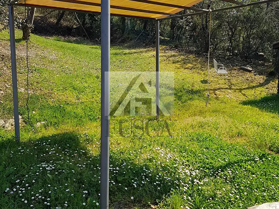 Immagine 5 di Villa in vendita  in Via montebonelli a Lucca