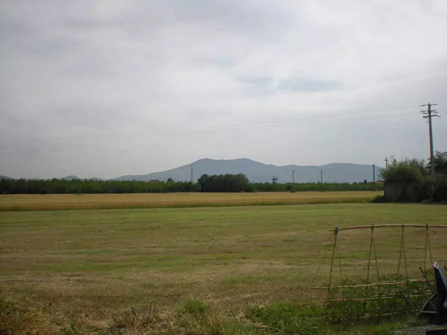 Immagine 7 di Terreno agricolo in vendita  in Via San Donato 925/A a Lucca