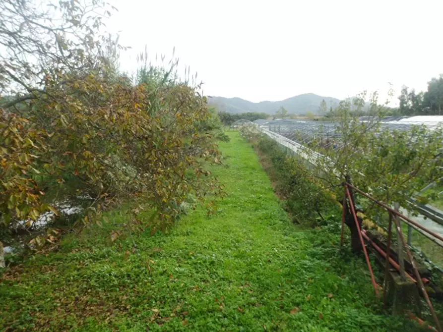 Immagine 6 di Rustico / casale in vendita  a Massarosa