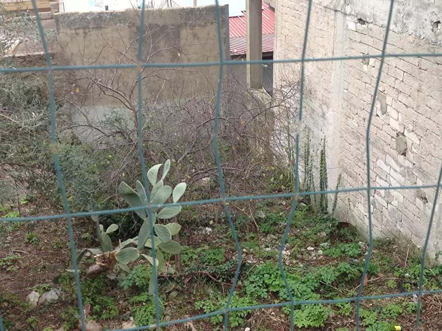 Immagine 2 di Terreno edificabile in vendita  a Canicattini Bagni