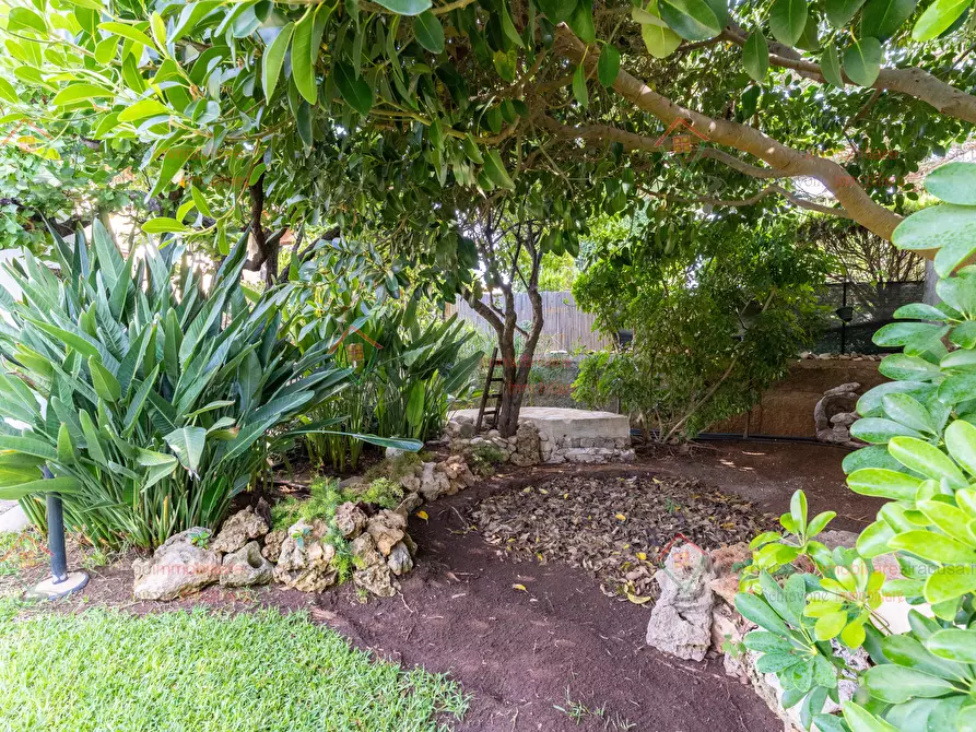 Immagine 3 di Villa in vendita  a Siracusa