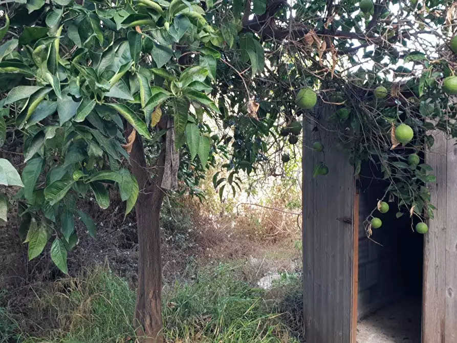Immagine 5 di Terreno edificabile in vendita  a Siracusa
