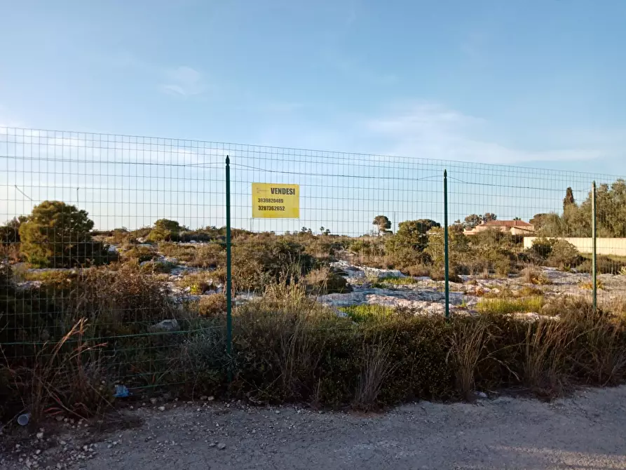Immagine 5 di Terreno agricolo in vendita  a Siracusa