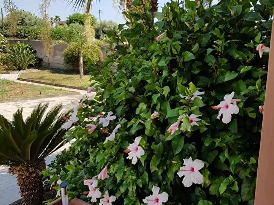 Immagine 5 di Appartamento in vendita  a Siracusa