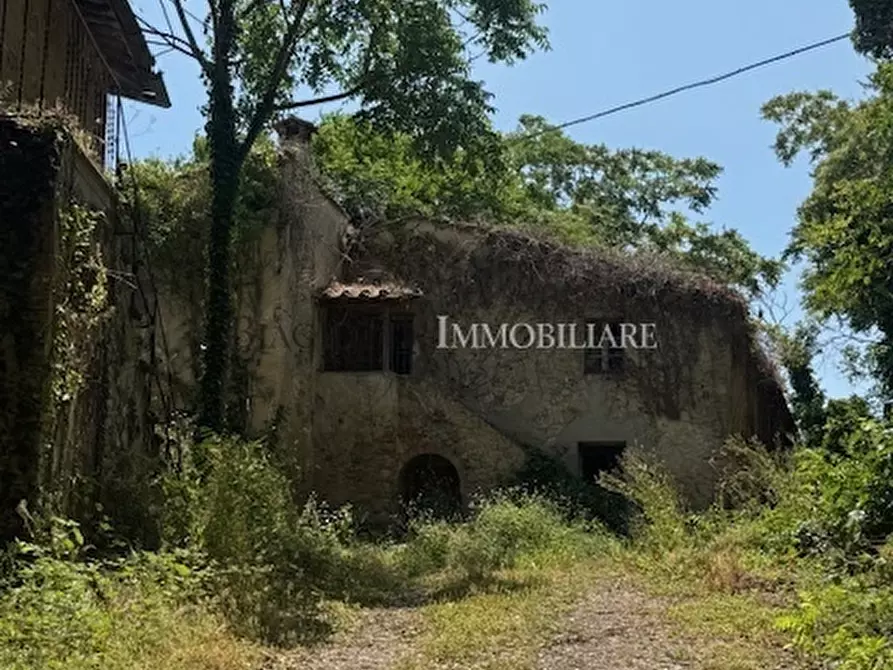 Immagine 4 di Rustico / casale in vendita  a Livorno