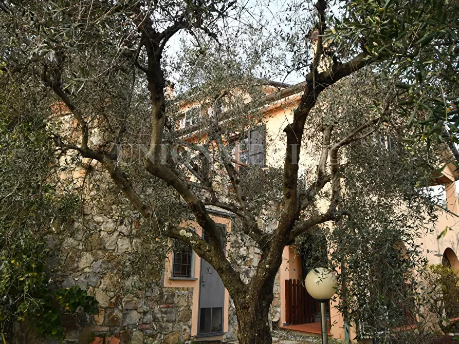 Immagine 7 di Villa in vendita  in Via caniparola a Fosdinovo