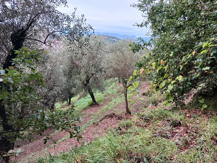 Immagine 58 di Casa indipendente in vendita  a Arcola