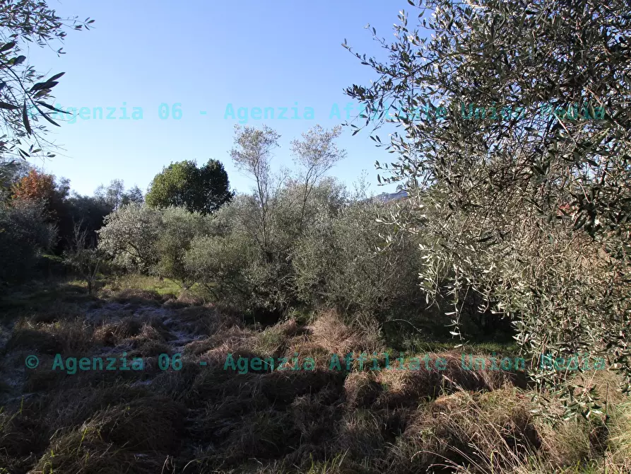 Immagine 13 di Terreno edificabile in vendita  a Bolano