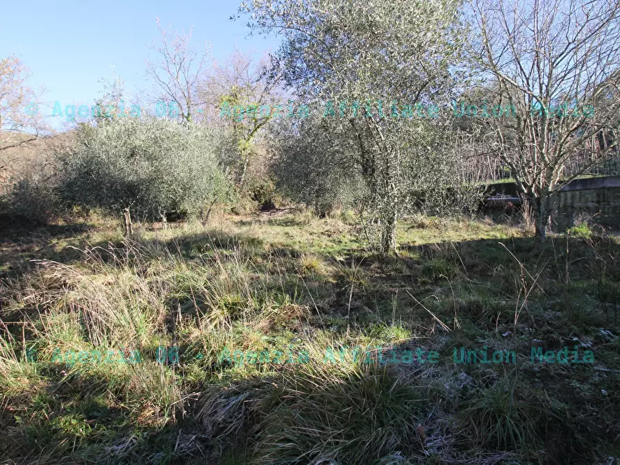 Immagine 10 di Terreno edificabile in vendita  a Bolano