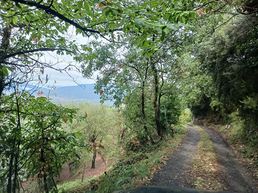 Immagine 56 di Casa indipendente in vendita  a Arcola