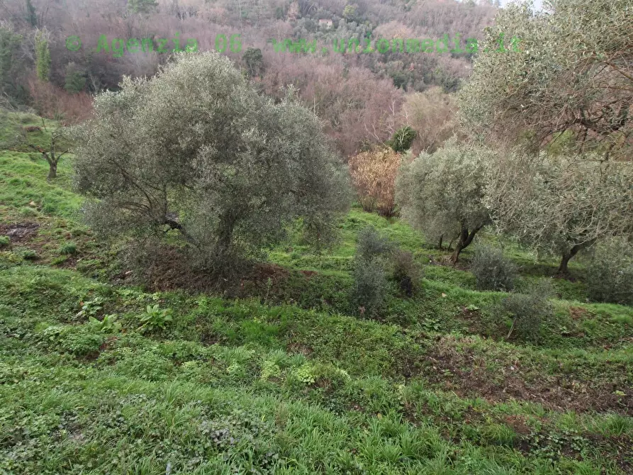 Immagine 10 di Casa indipendente in vendita  a Arcola