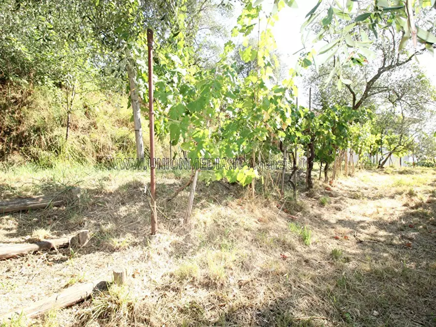 Immagine 10 di Casa indipendente in vendita  a Vezzano Ligure