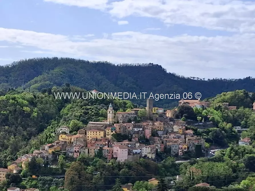 Immagine 3 di Casa indipendente in vendita  a Arcola