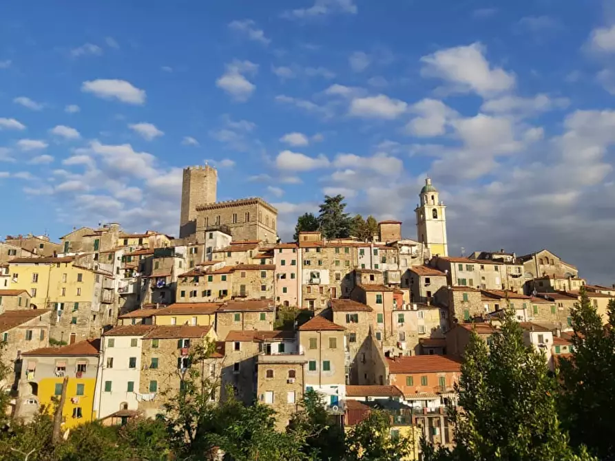 Immagine 48 di Casa indipendente in vendita  a Arcola