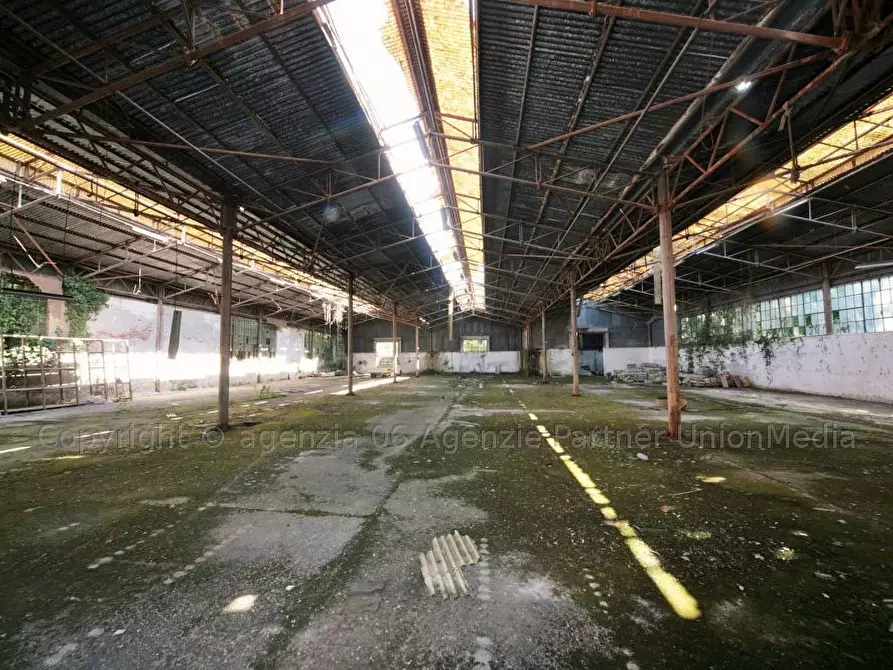 Immagine 5 di Capannone industriale in vendita  a Santo Stefano Di Magra