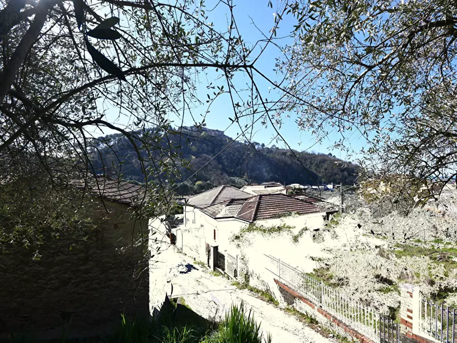 Immagine 3 di Terreno edificabile in vendita  a Ortonovo