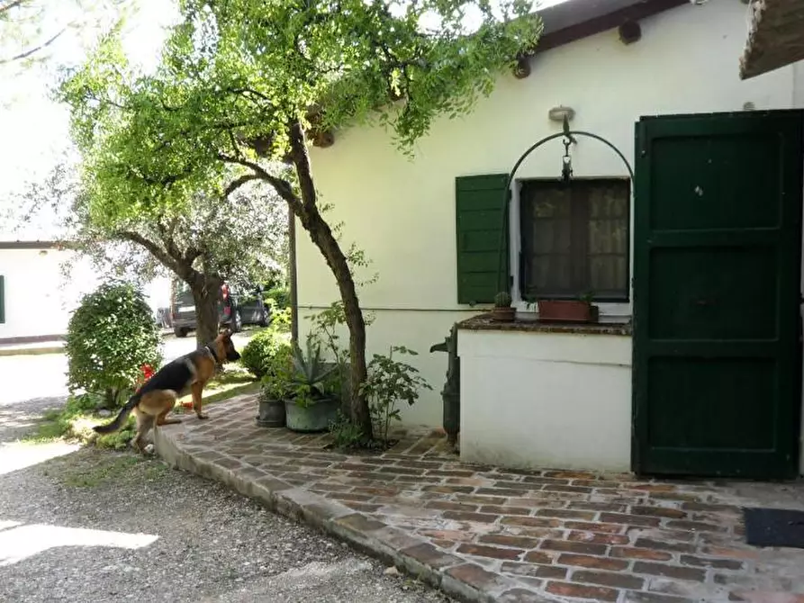 Immagine 29 di Rustico / casale in vendita  a Rimini