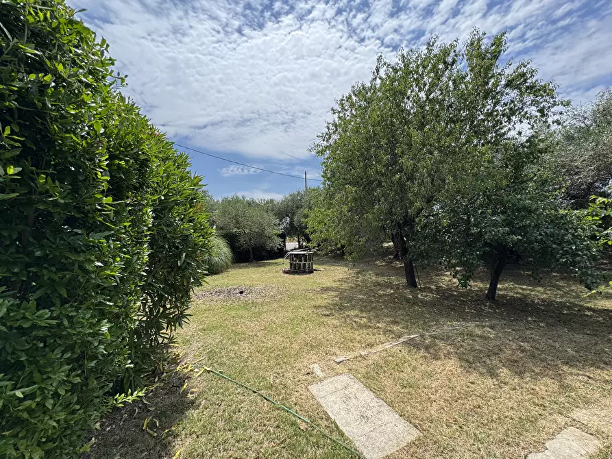 Immagine 3 di Porzione di casa in vendita  in Via Moreta a Coriano