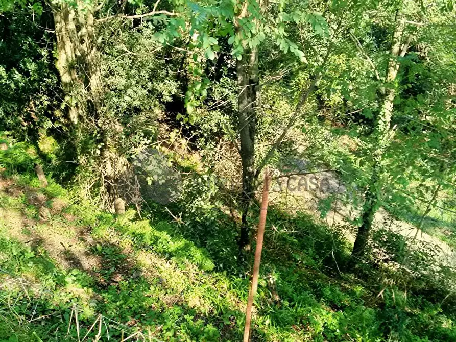 Immagine 10 di Porzione di casa in vendita  in Via Volpara 9 a Sarzana