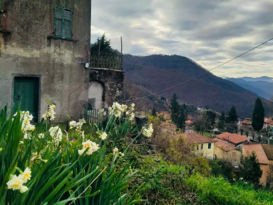 Immagine 1 di Rustico / casale in vendita  in Loc. Le Cassonare snc a Calice Al Cornoviglio